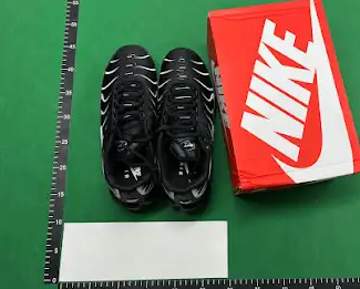 Nike Air Max Plus